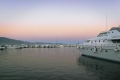AVXADP1241_59880_V0_E534.jpg
