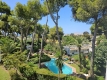 AMSACP481_15363_V0_BDA7.jpg