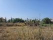 AMSACP489_15535_V0_624B.jpg