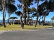 AMSACP494_15663_V0_9E99.jpg