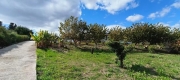 BCEABP461_16164_V0_B0D2.jpg