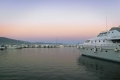 AAFADP836_30321_V0_A398.jpg