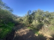 4-c23c0f86247804fa50226aecd8b0b2c8.jpg