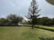 20-d1f7658cbe4ba6cd8666fec30fba80ad.jpg