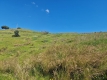 20-d1f7658cbe4ba6cd8666fec30fba80ad.jpg