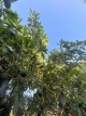 54-cba5c6f0c186831e5b449ecd59074d41.jpg