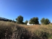 4-c23c0f86247804fa50226aecd8b0b2c8.jpg