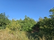9-467d0cee5b725f3ef65f102a0c2e69c0.jpg