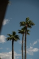 11-20939a0134ad724a8cb2a801094d15a4.jpg