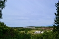 6-241328e1bcc9c0d8ce1222beb6c967a8.jpg
