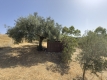 54-cba5c6f0c186831e5b449ecd59074d41.jpg