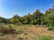 20-d1f7658cbe4ba6cd8666fec30fba80ad.jpg