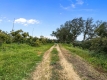 29-7c2f312881aea9bbe9ddaeb9640e2c9a.jpg